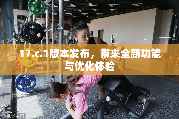 17.c.1版本发布，带来全新功能与优化体验