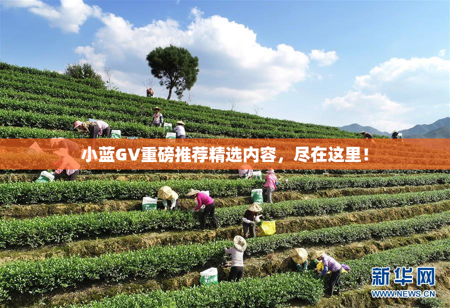 小蓝GV重磅推荐精选内容，尽在这里！