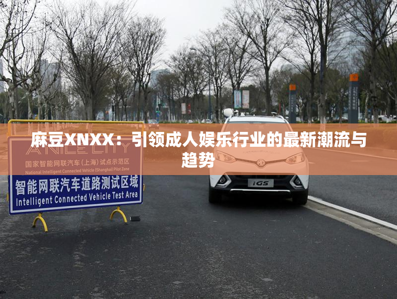 麻豆XNXX：引领成人娱乐行业的最新潮流与趋势