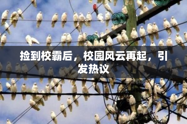 捡到校霸后，校园风云再起，引发热议