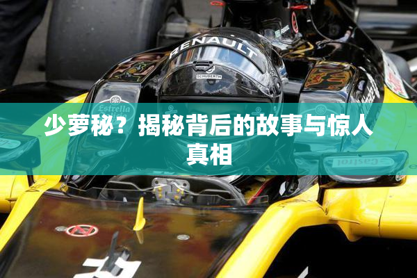 少萝秘？揭秘背后的故事与惊人真相