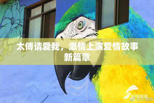太傅请爱我，激情上演爱情故事新篇章