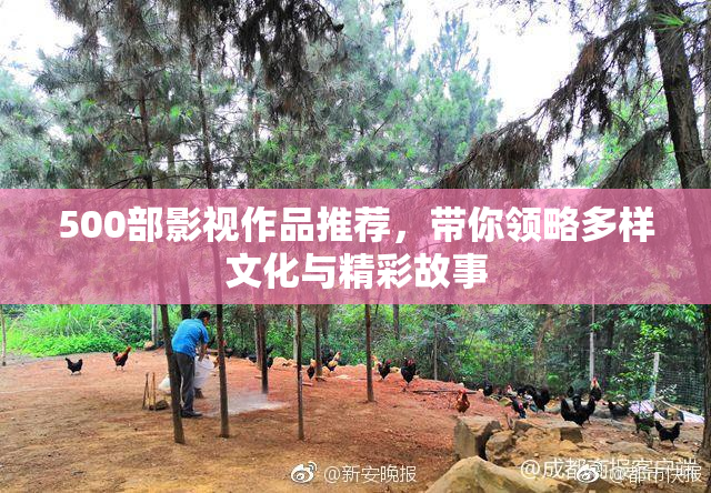 500部影视作品推荐，带你领略多样文化与精彩故事