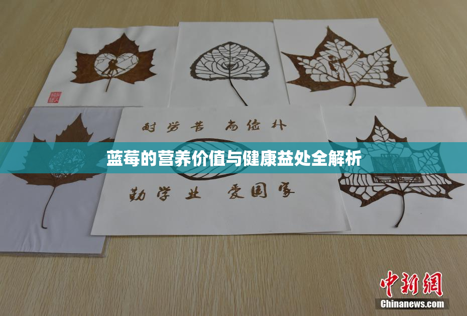 蓝莓的营养价值与健康益处全解析
