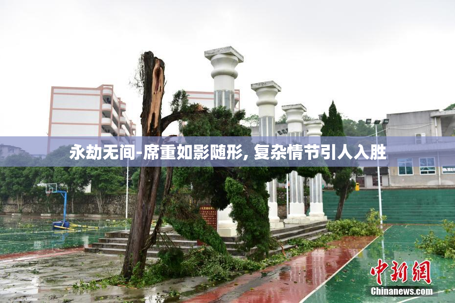 永劫无间-席重如影随形, 复杂情节引人入胜