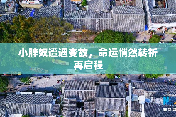 小胖奴遭遇变故，命运悄然转折再启程