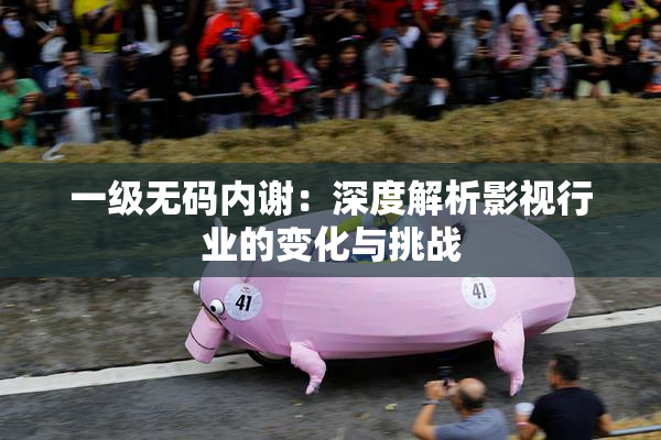 一级无码内谢：深度解析影视行业的变化与挑战