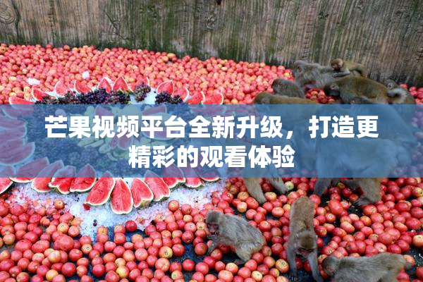 芒果视频平台全新升级，打造更精彩的观看体验