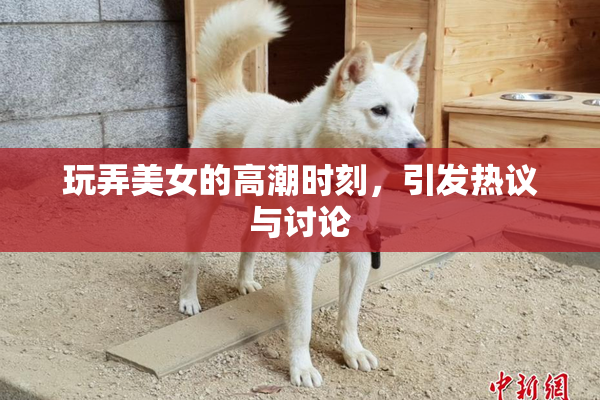 玩弄美女的高潮时刻，引发热议与讨论
