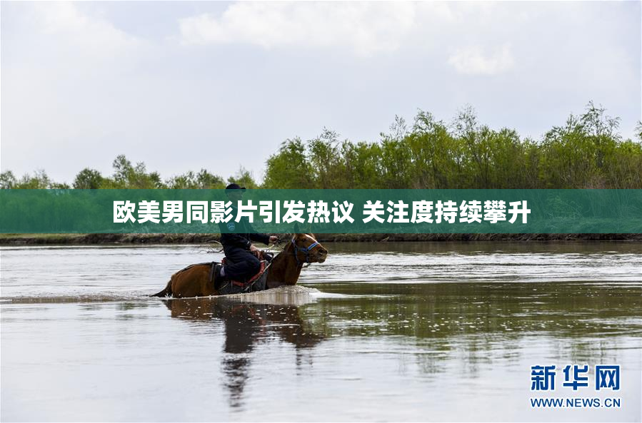 欧美男同影片引发热议 关注度持续攀升