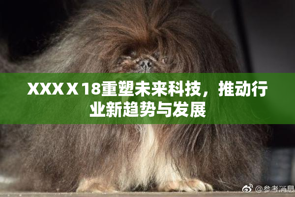 XXXⅩ18重塑未来科技，推动行业新趋势与发展