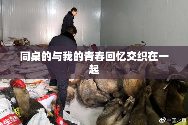同桌的与我的青春回忆交织在一起