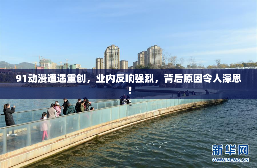 91动漫遭遇重创，业内反响强烈，背后原因令人深思！