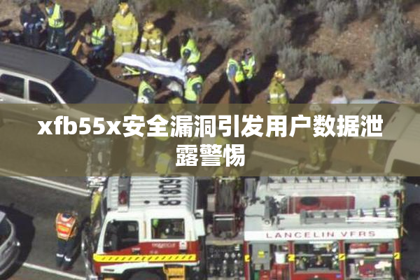 xfb55x安全漏洞引发用户数据泄露警惕