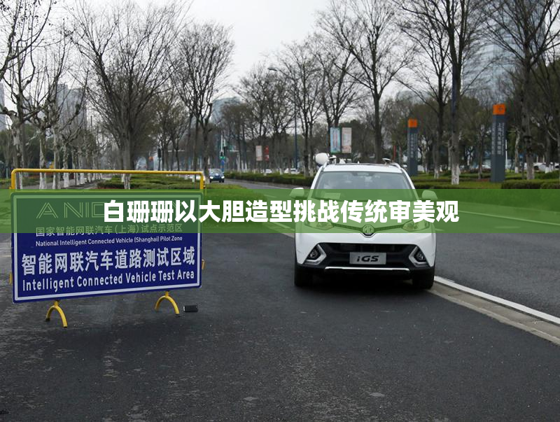 白珊珊以大胆造型挑战传统审美观