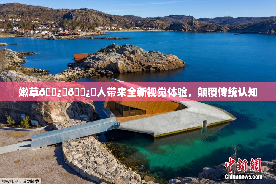 嫩草🌿‌🌿‌人带来全新视觉体验，颠覆传统认知