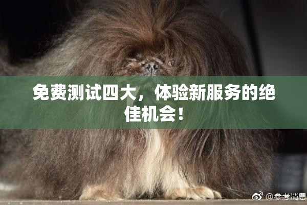 免费测试四大，体验新服务的绝佳机会！