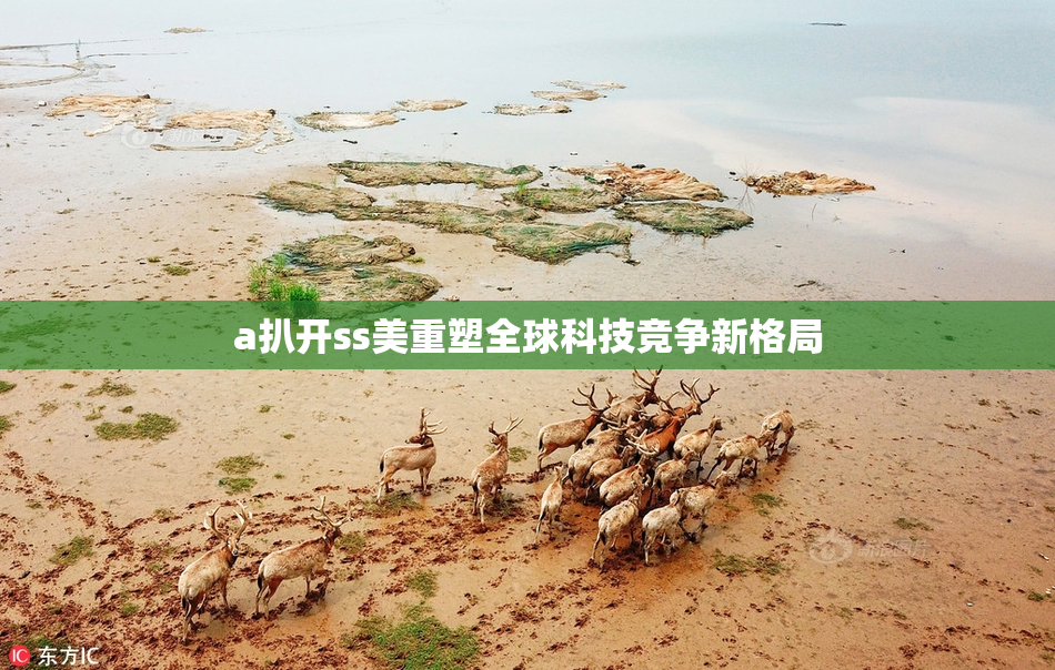 a扒开ss美重塑全球科技竞争新格局