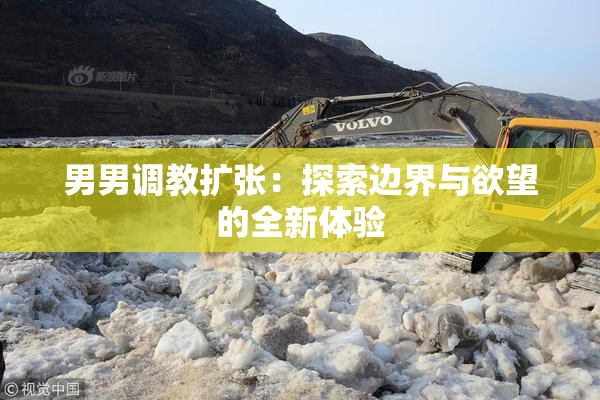 男男调教扩张：探索边界与欲望的全新体验