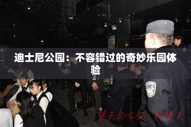 迪士尼公园：不容错过的奇妙乐园体验