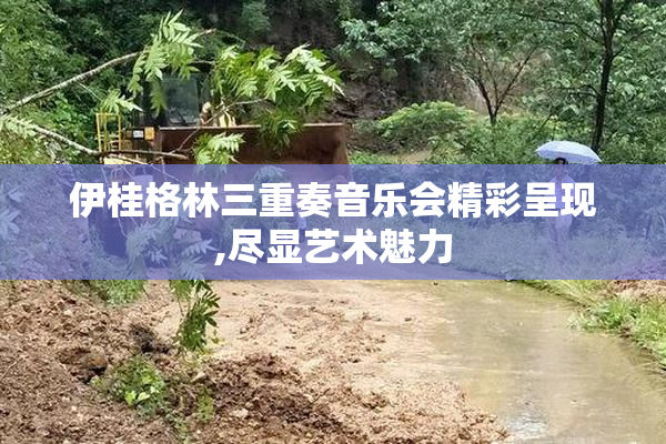 伊桂格林三重奏音乐会精彩呈现,尽显艺术魅力