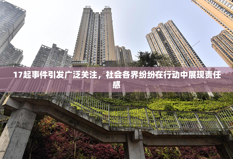 17起事件引发广泛关注，社会各界纷纷在行动中展现责任感