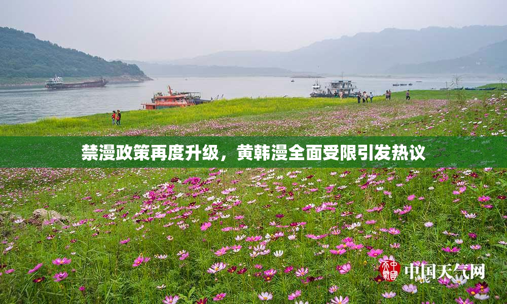 禁漫政策再度升级，黄韩漫全面受限引发热议