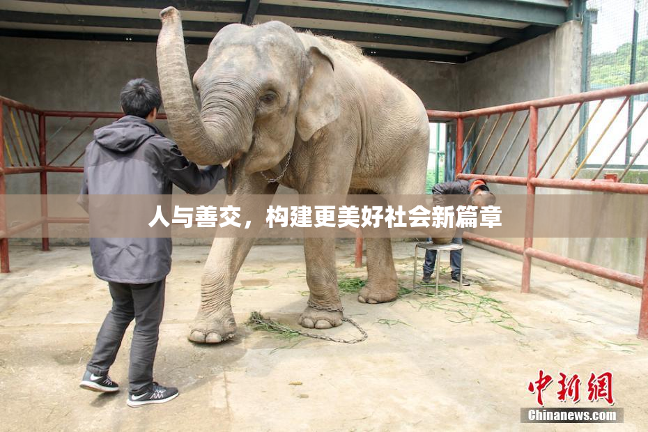 人与善交，构建更美好社会新篇章