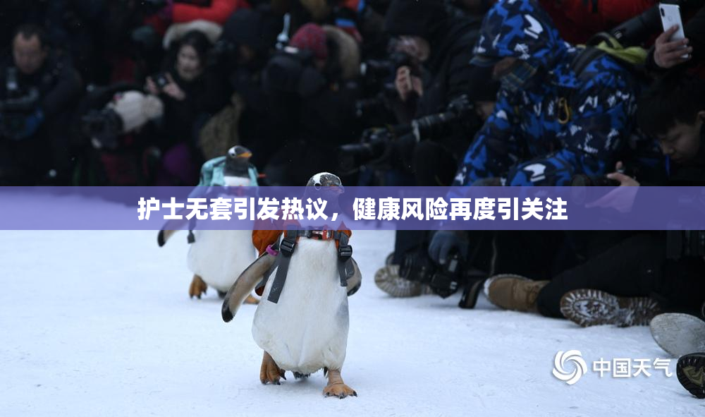 护士无套引发热议，健康风险再度引关注