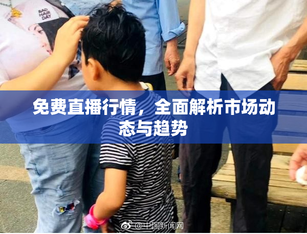 免费直播行情，全面解析市场动态与趋势