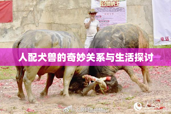 人配犬兽的奇妙关系与生活探讨