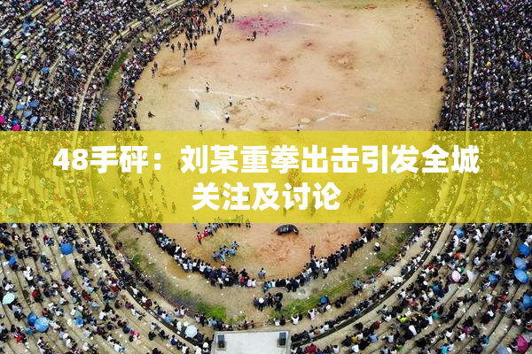 48手砰：刘某重拳出击引发全城关注及讨论