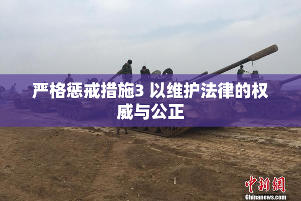 严格惩戒措施3 以维护法律的权威与公正