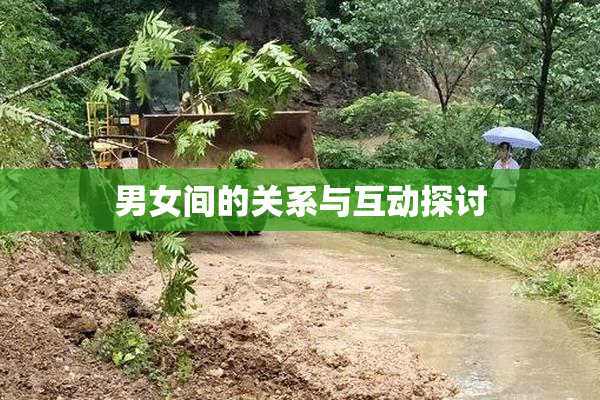男女间的关系与互动探讨