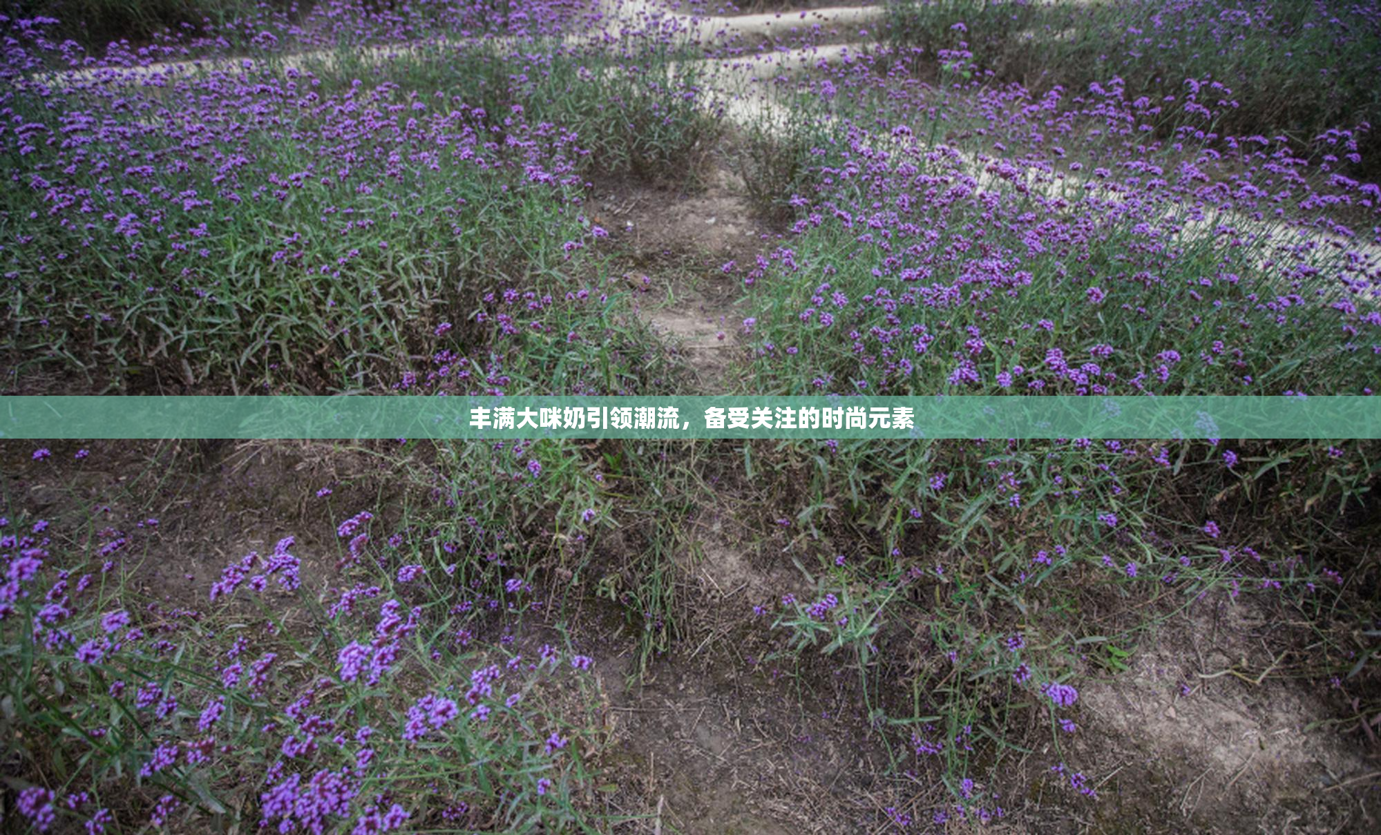 丰满大咪奶引领潮流，备受关注的时尚元素