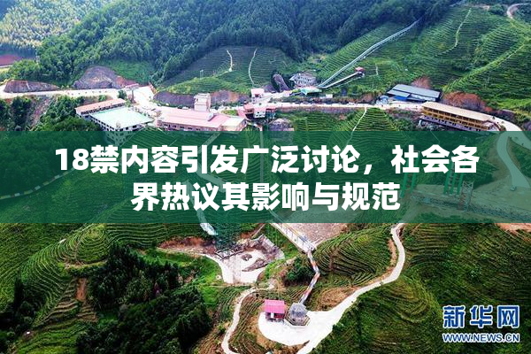 18禁内容引发广泛讨论，社会各界热议其影响与规范