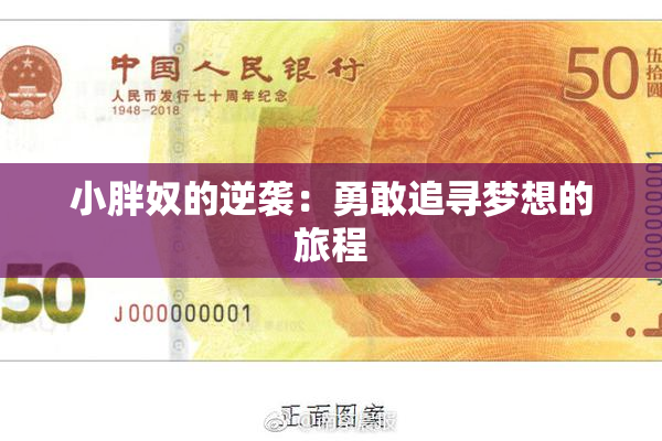小胖奴的逆袭：勇敢追寻梦想的旅程