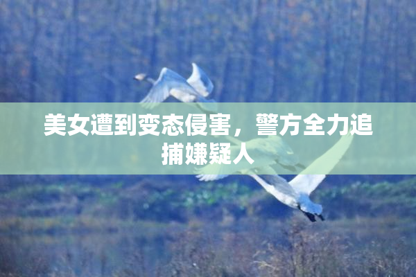 美女遭到变态侵害，警方全力追捕嫌疑人