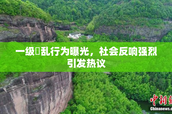 一级婬乱行为曝光，社会反响强烈引发热议