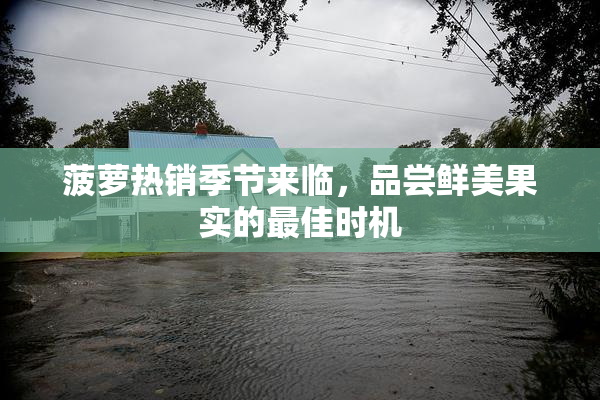 菠萝热销季节来临，品尝鲜美果实的最佳时机