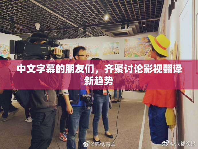 中文字幕的朋友们，齐聚讨论影视翻译新趋势
