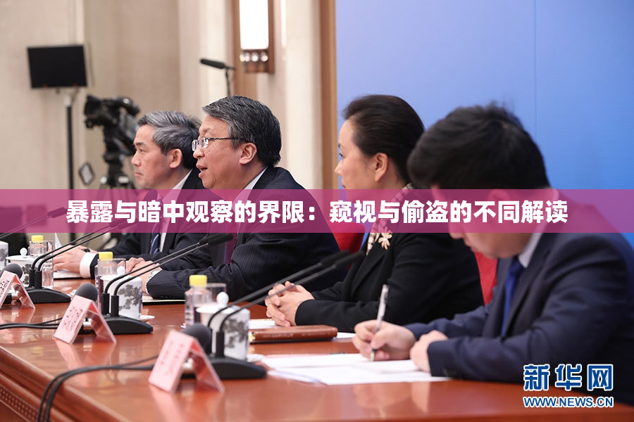 暴露与暗中观察的界限：窥视与偷盗的不同解读