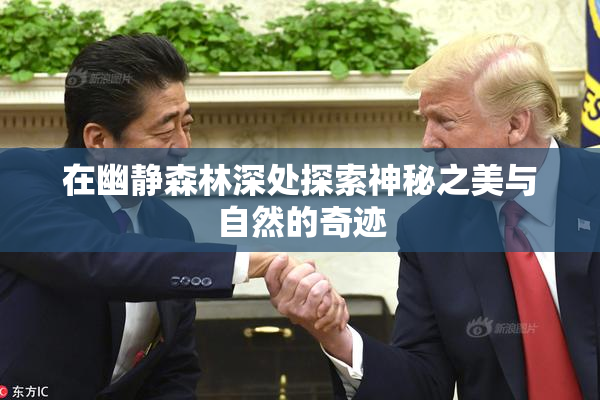 在幽静森林深处探索神秘之美与自然的奇迹