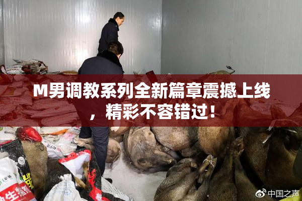 M男调教系列全新篇章震撼上线，精彩不容错过！