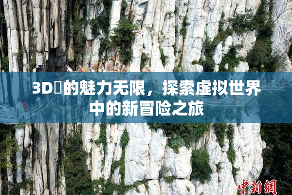 3D姉的魅力无限，探索虚拟世界中的新冒险之旅