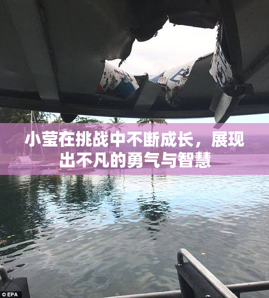 小莹在挑战中不断成长，展现出不凡的勇气与智慧