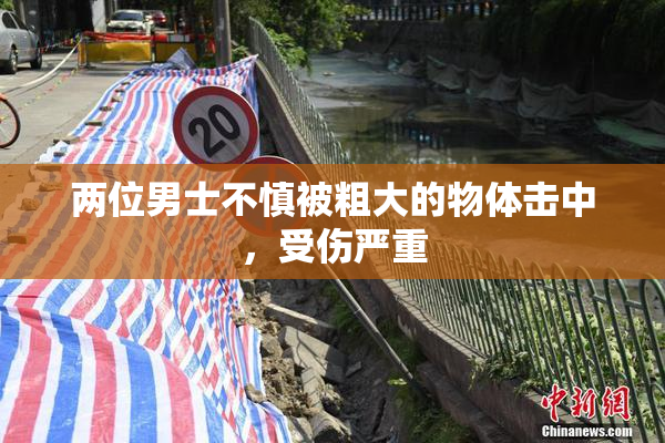 两位男士不慎被粗大的物体击中，受伤严重