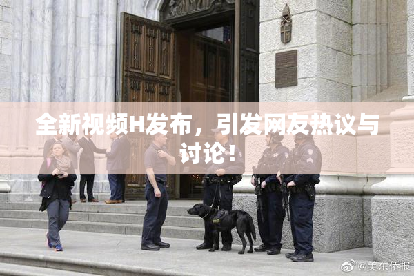全新视频H发布，引发网友热议与讨论！