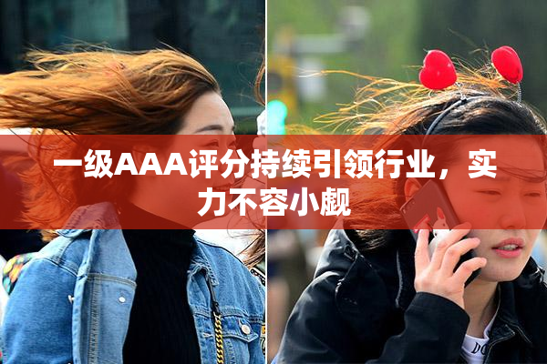 一级AAA评分持续引领行业，实力不容小觑