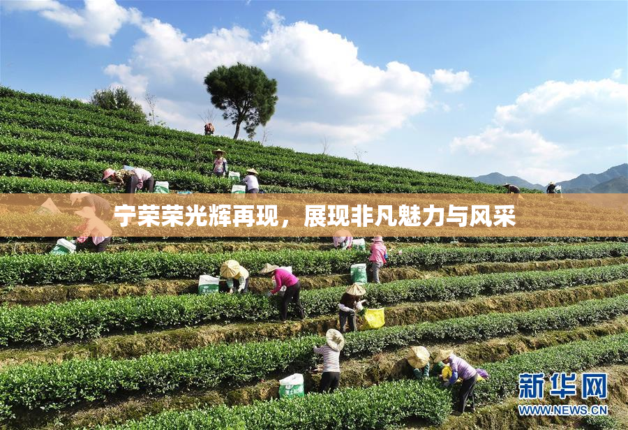 宁荣荣光辉再现，展现非凡魅力与风采